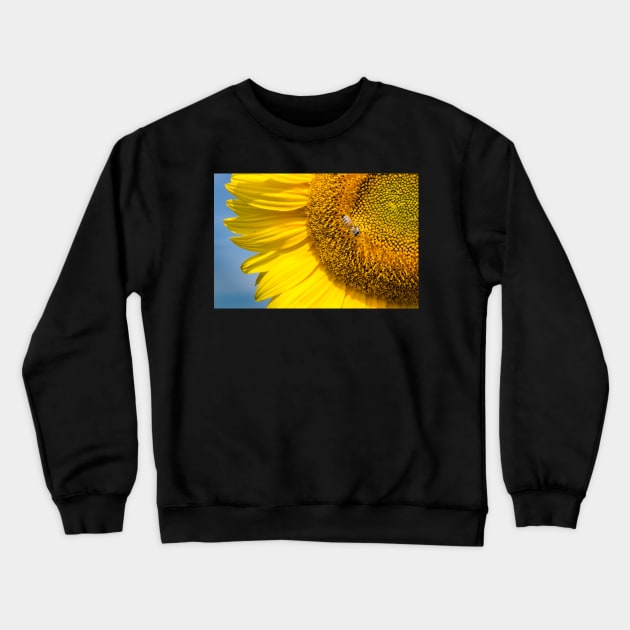 Sunflower With Bee 4 Crewneck Sweatshirt by Robert Alsop